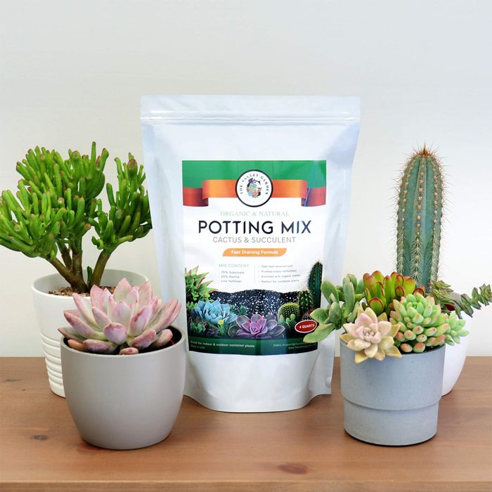 The Valley Garden Organic Potting Soil
