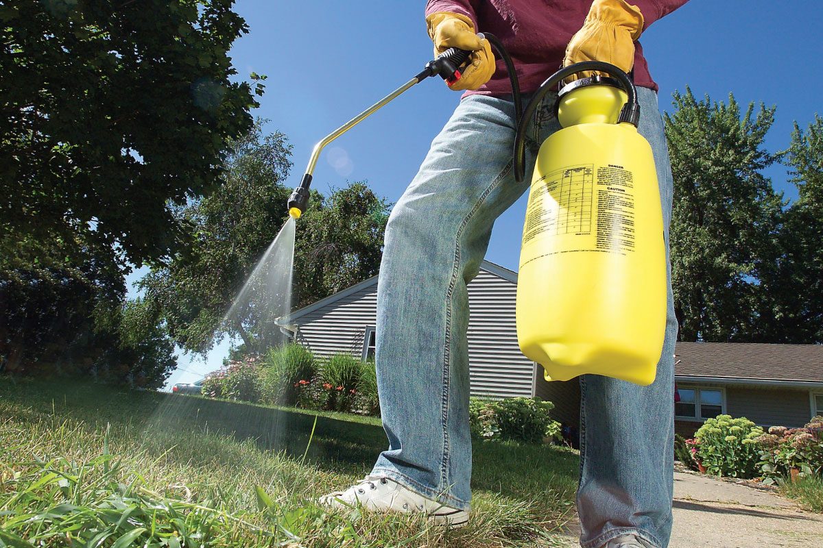 13 Tips For Getting Rid Of Crabgrass For Good 