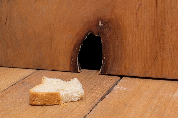 Hole from the mouse in the wall