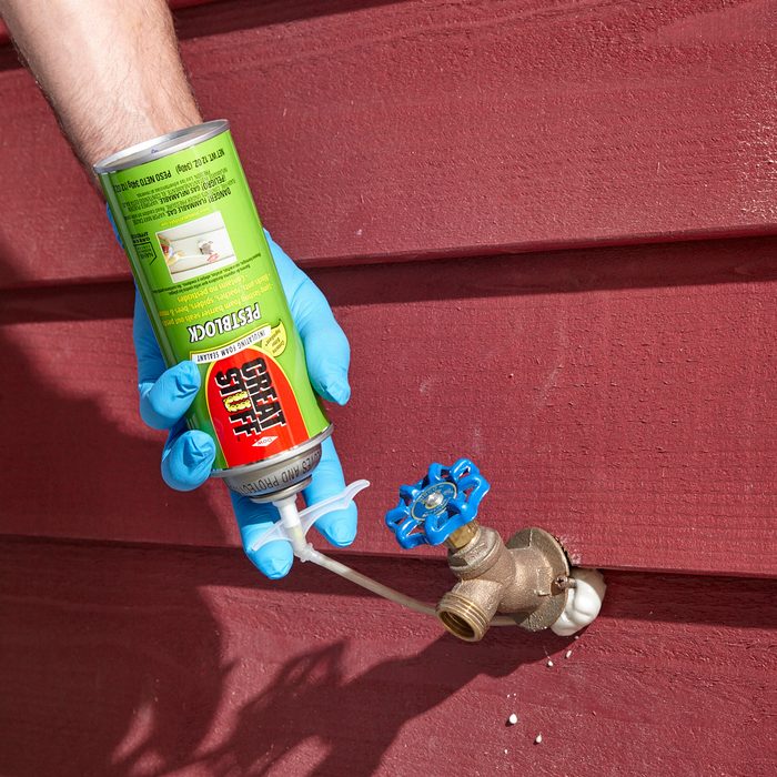 Plugging holes on the exterior of your house with foam sealant