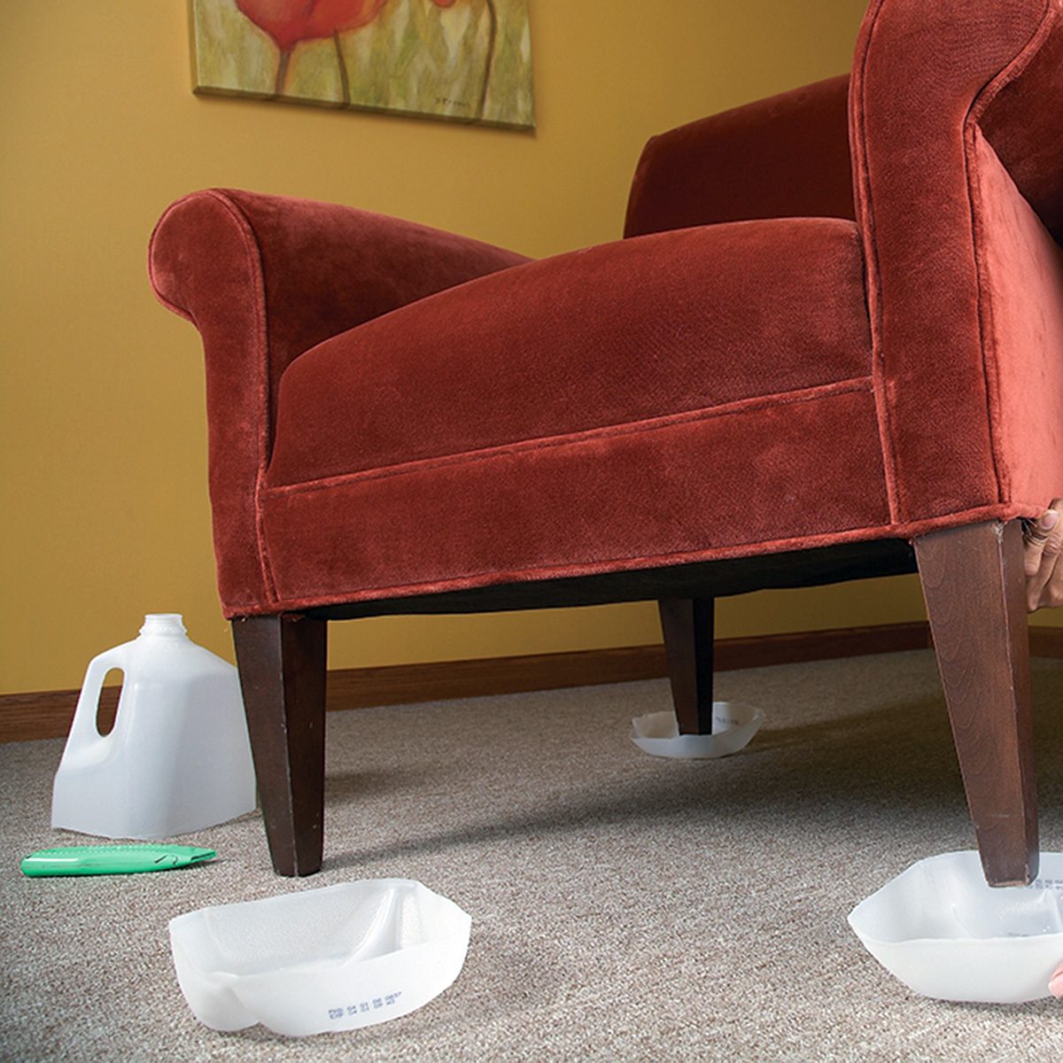 A red armchair with its legs placed in white plastic containers, resting on a brown carpet. A green cleaning brush and an empty plastic gallon jug are nearby. A painting with flowers is partially visible on the yellow wall.