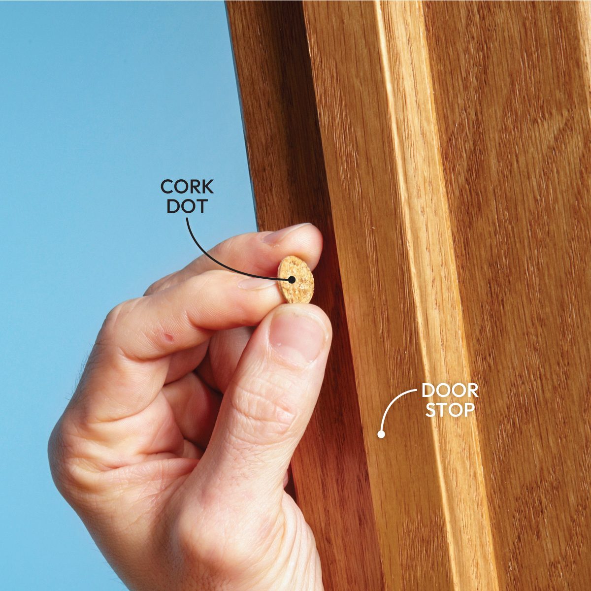 Annoying Home Noises And How To Eliminate Them Forever Fh12apr 527 06 066 Hsp Otedit Callouts