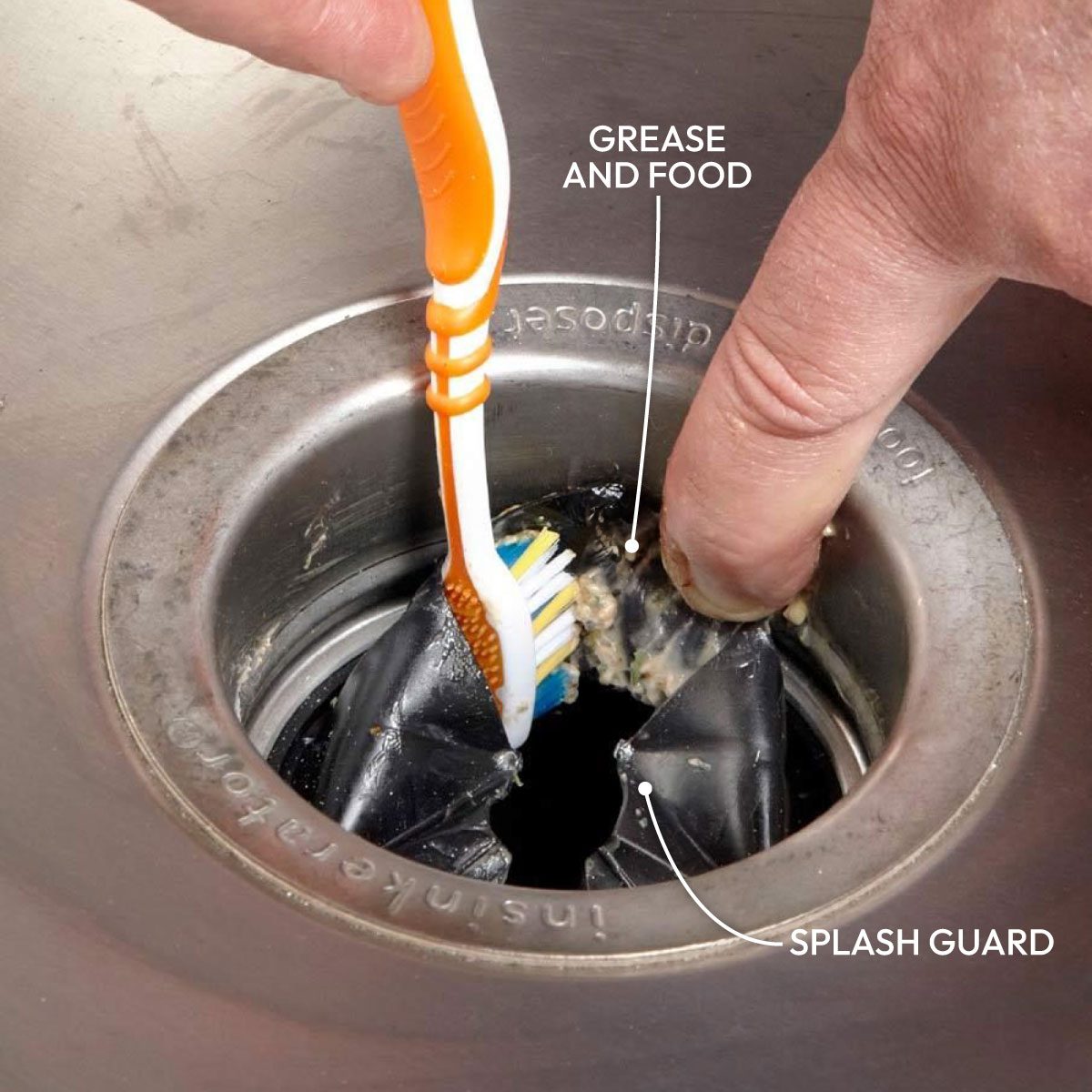 Clean Out Disposer Crud