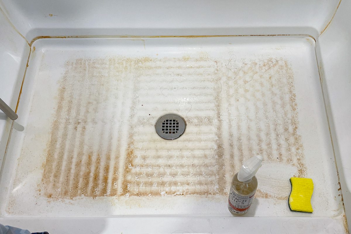 mould on bathroom surface