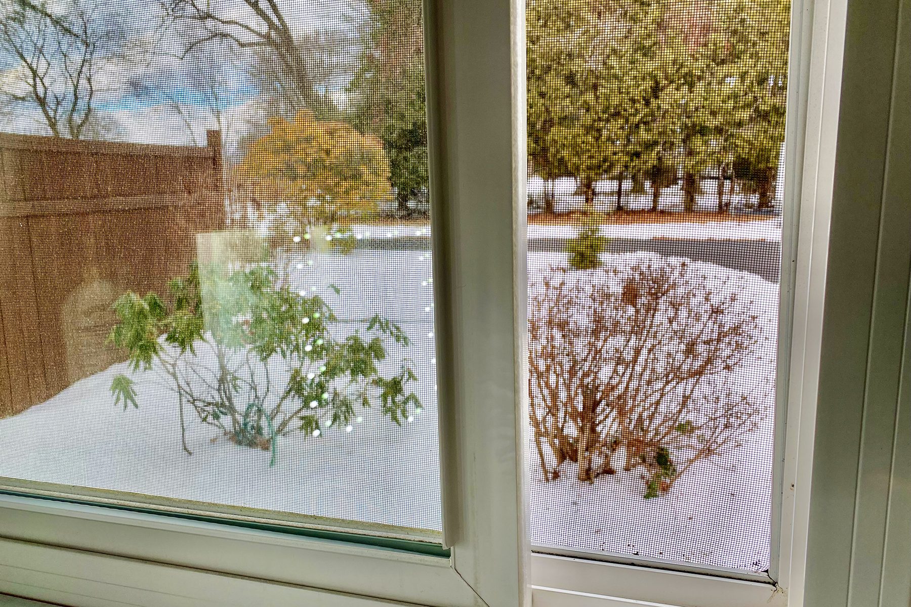 Fhmd25 How To Clean Mold Off Wood Noelle Devoe 01 Ssedit