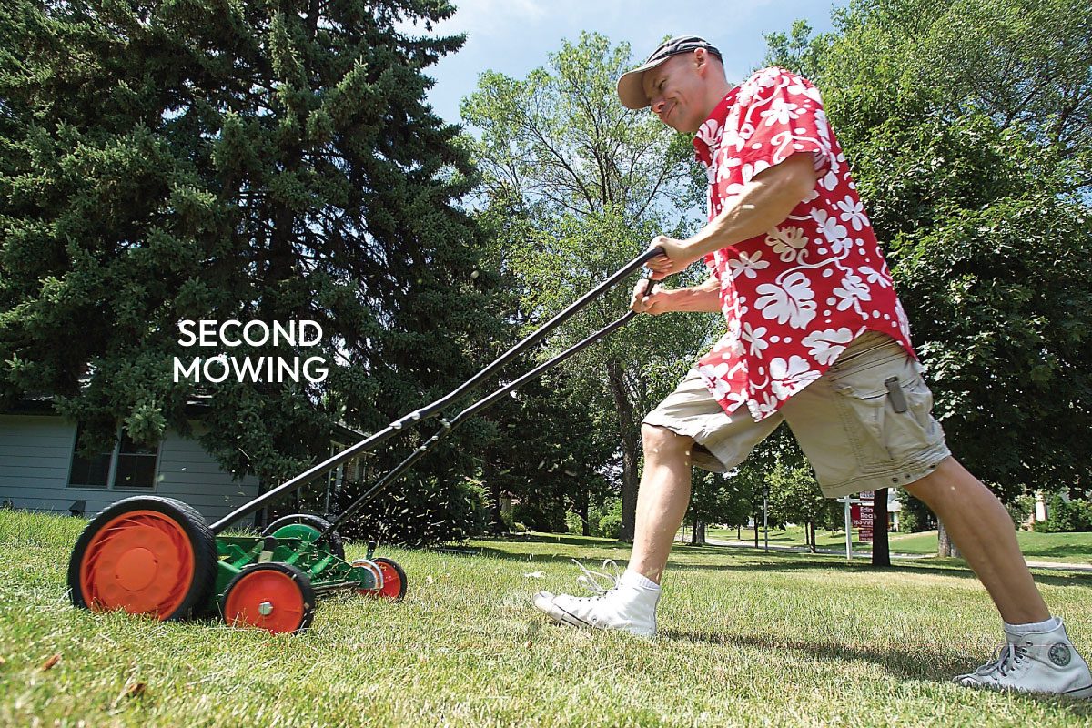 Get Them Before They Sprout