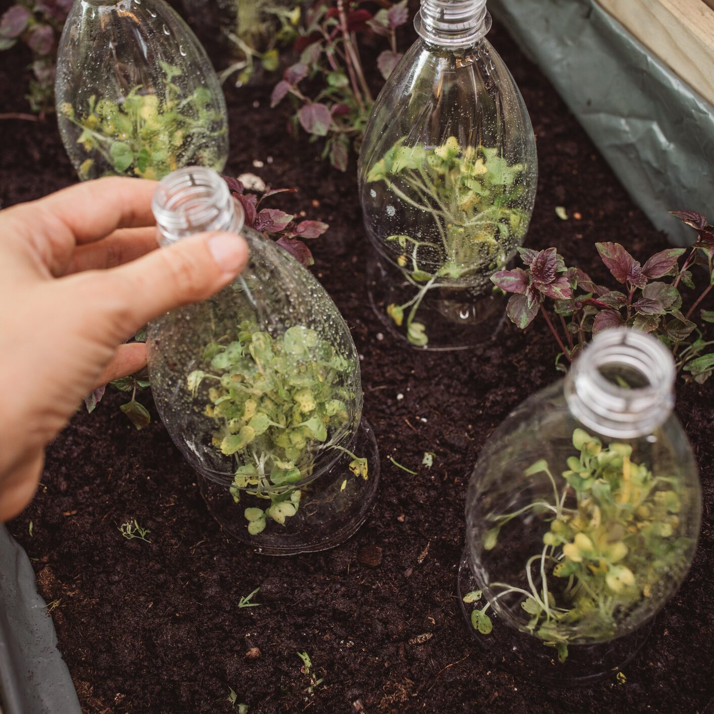 18 Smart Ways to Give Plastic Jugs and Bottles a Second Life