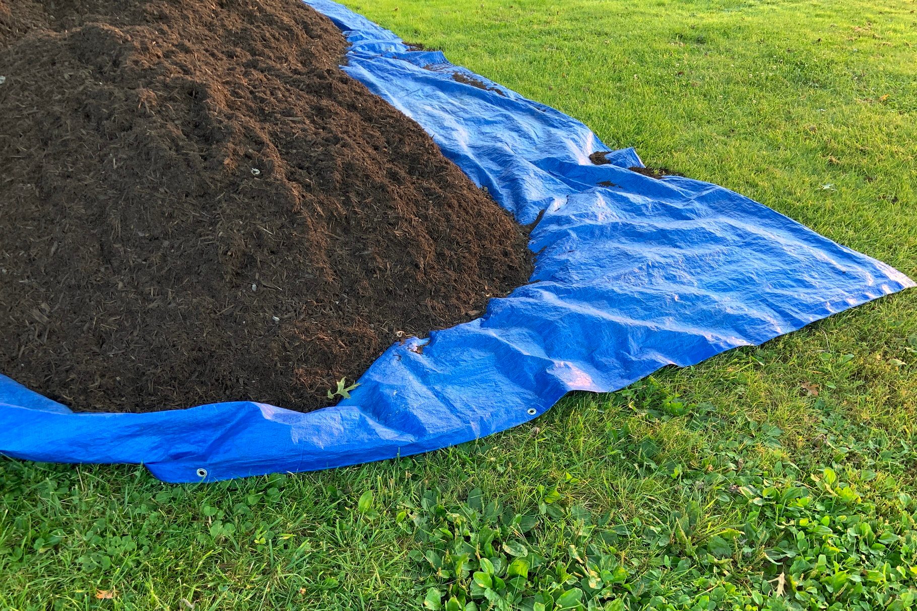 Compost on Blue Tarp