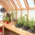 Guide To Greenhouse Gardening