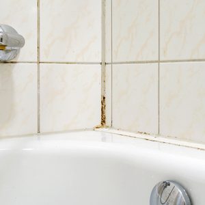 How To Remove Mold From Shower Caulking Gettyimages 1171179411