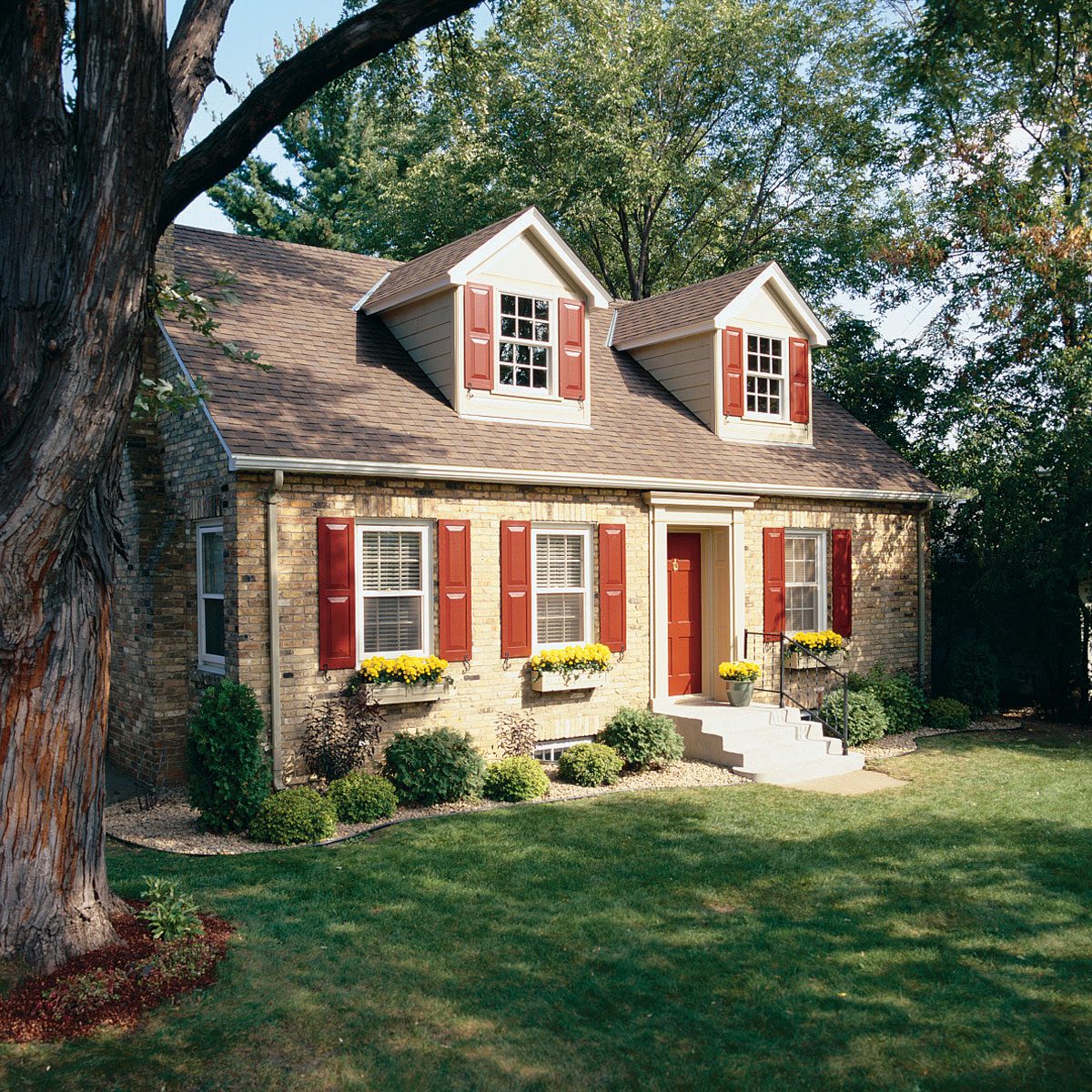 house surrounded by trees