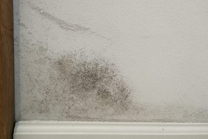 water damage on wall