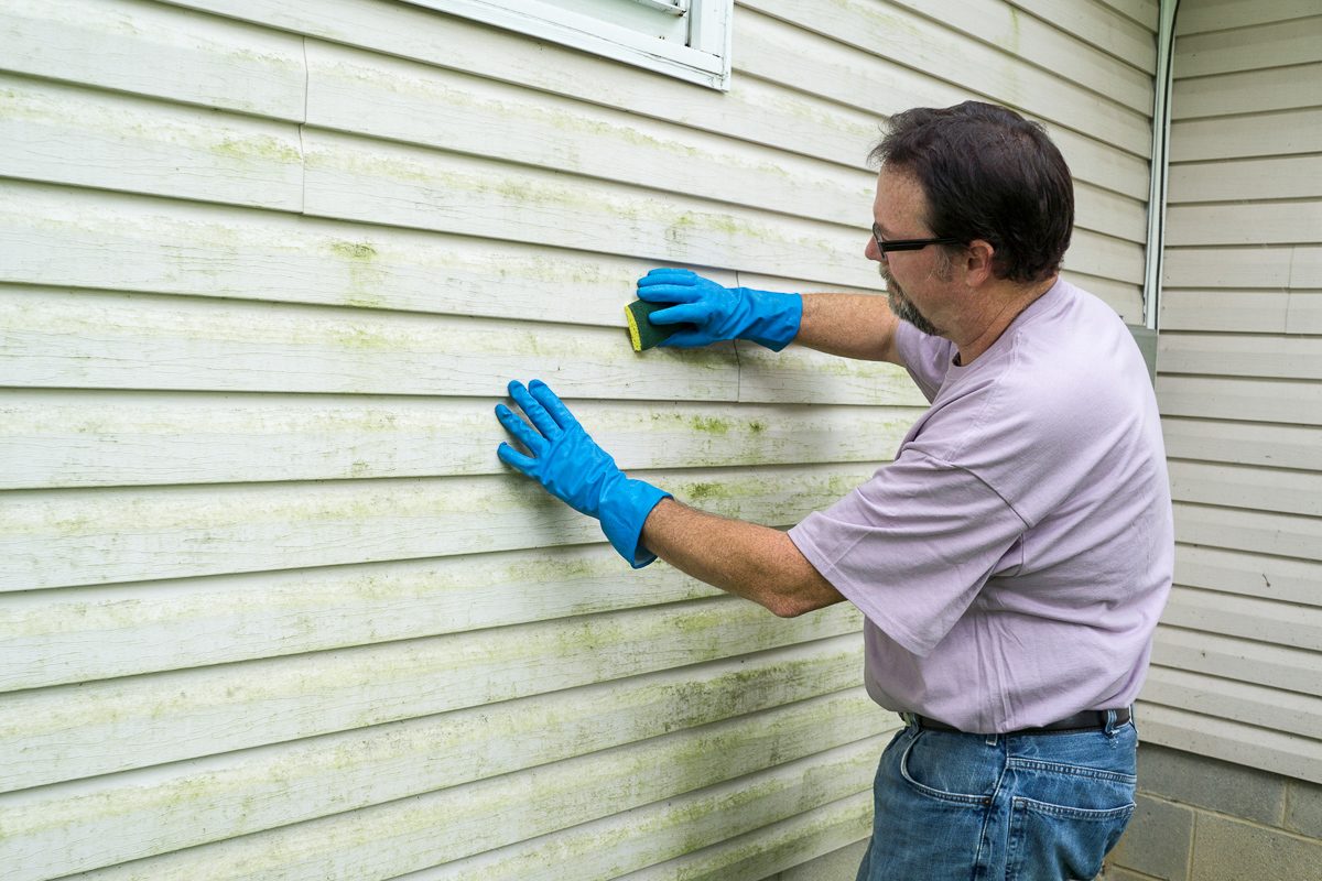 cleaning algae and mold from vinyl siding