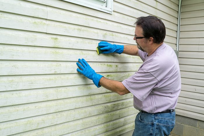 cleaning algae and mold from vinyl siding