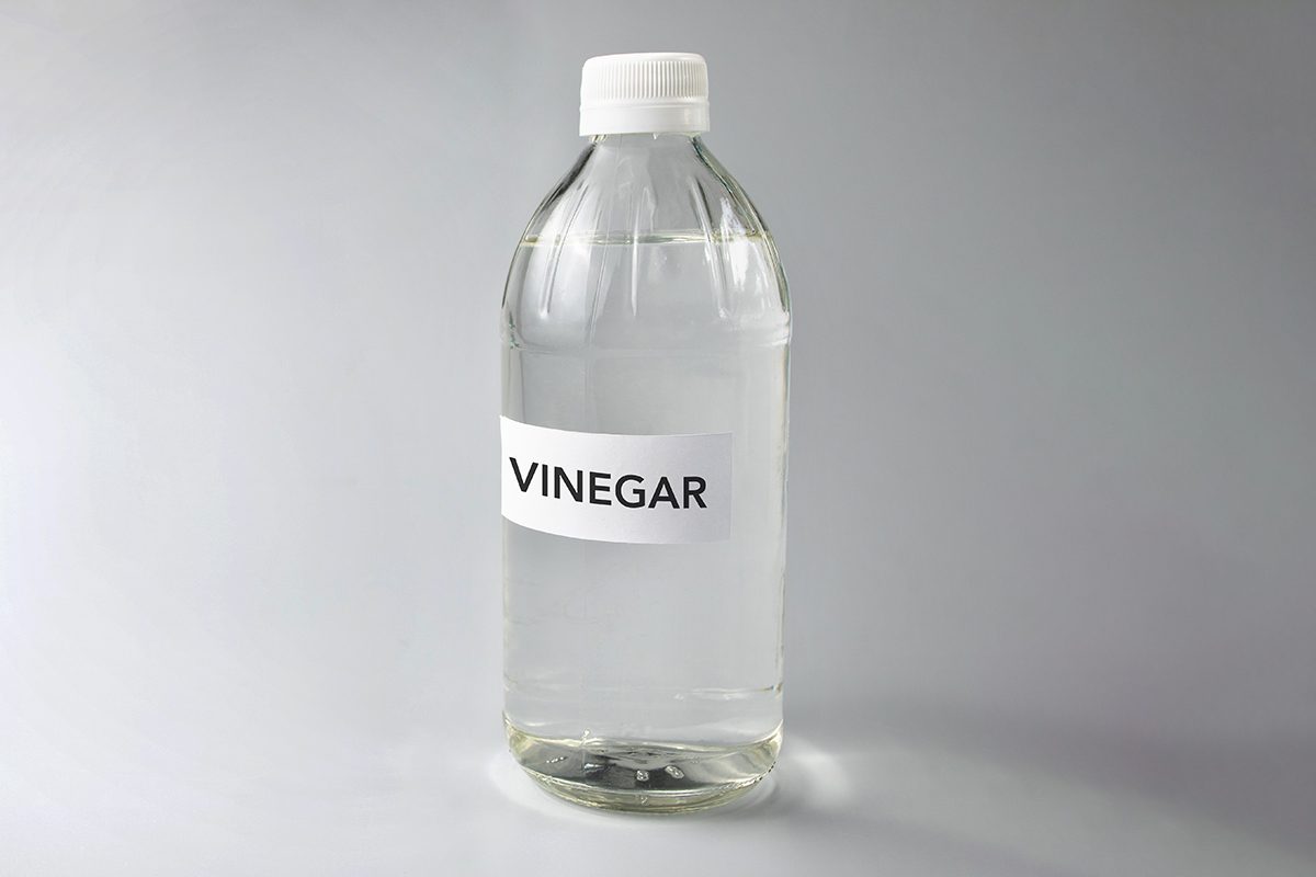 14 Ways To Eliminate Garbage Can Odors Gettyimages 1320878373