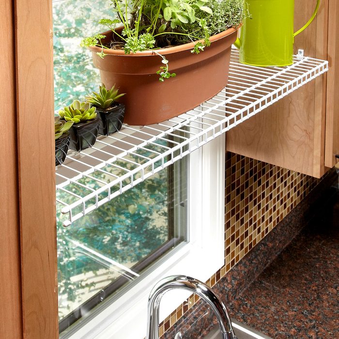 kitchen window plant perch