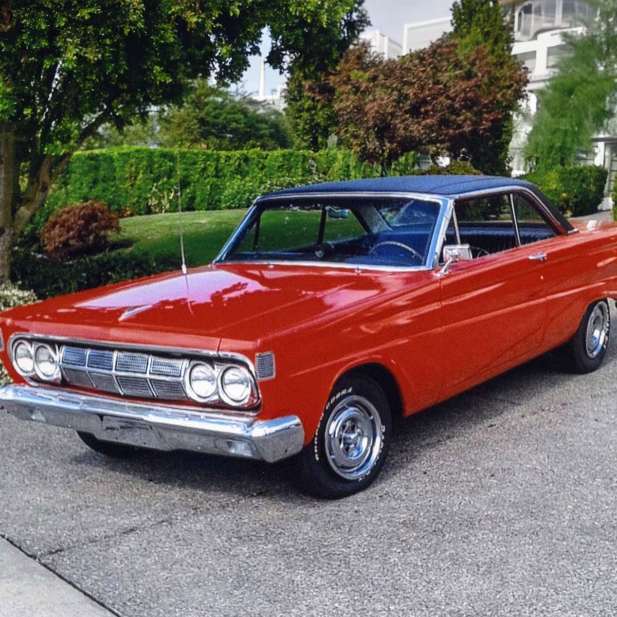 25 Terrymartell03 Rexsep18