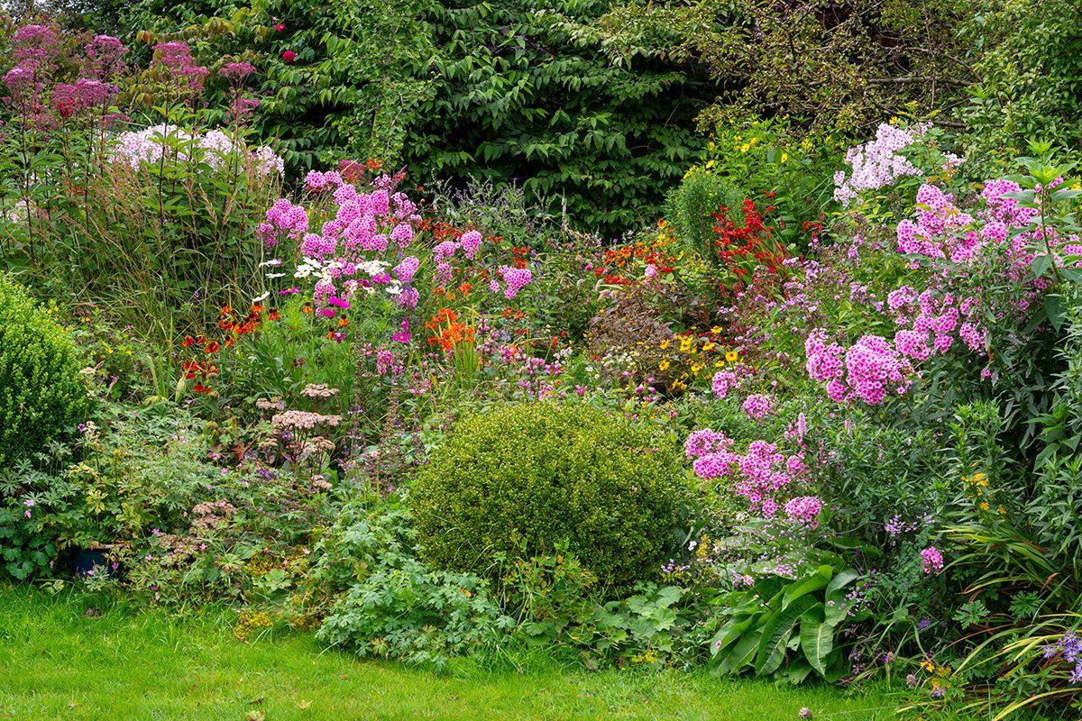 Flower And Shrub Beds Gettyimages 2182444030