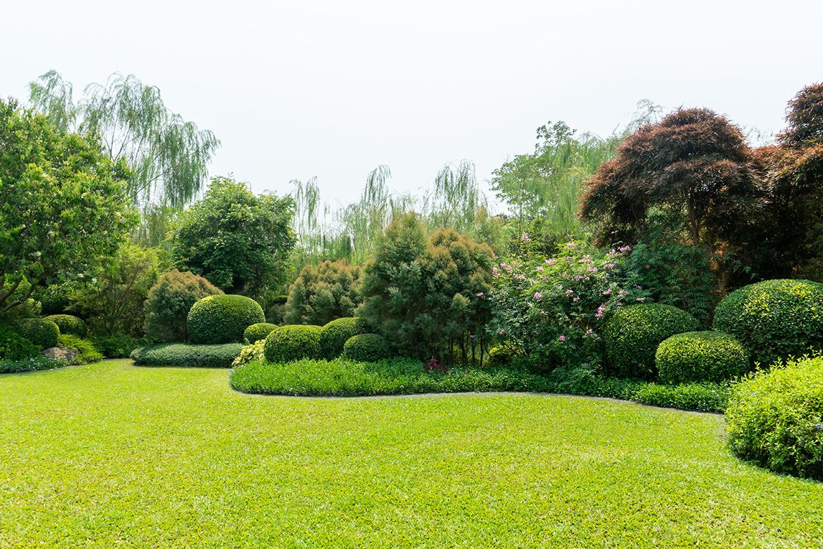 Garden Meadow Gettyimages 1347784849