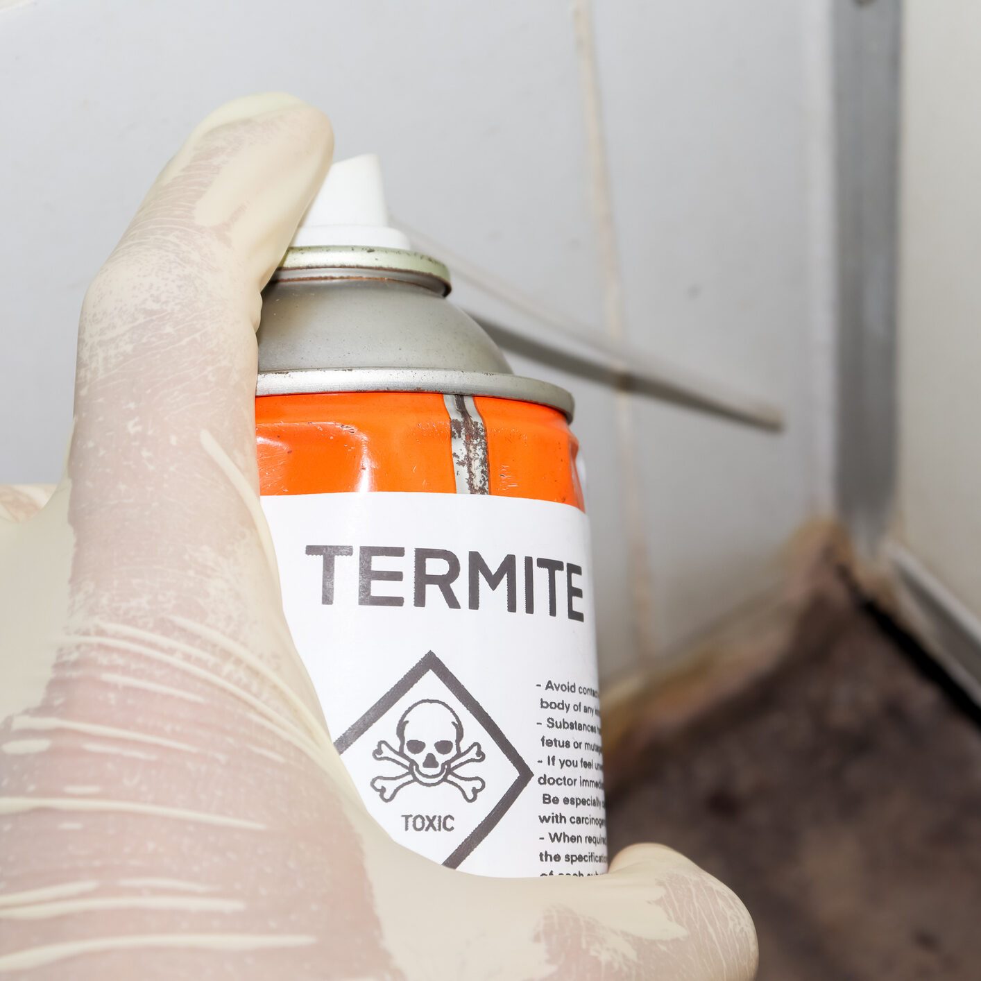 DIY Termite Treatment: 14 Must-Know Tips for DIY Termite Control