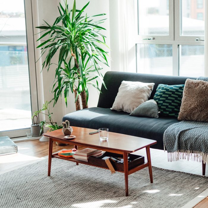 A modern and stylish living room with sunlight