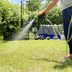 Bring New Grass Seed To Life With These Watering TIps