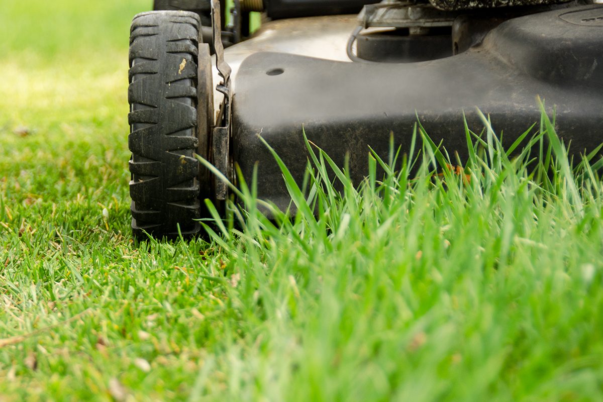 Mow At The Right Height Gettyimages 170168600