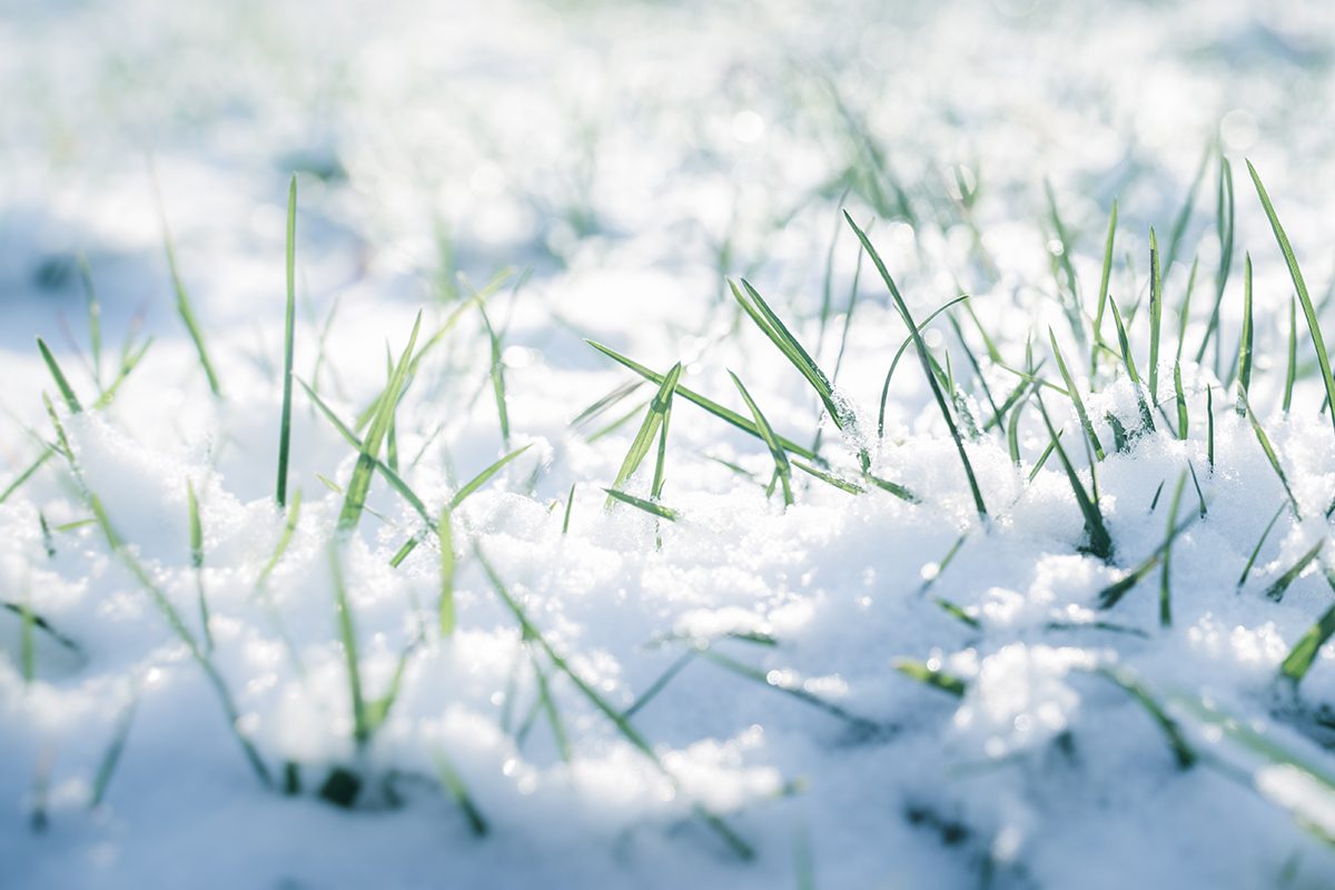 Practice Winter Maintenance Gettyimages 1952729587