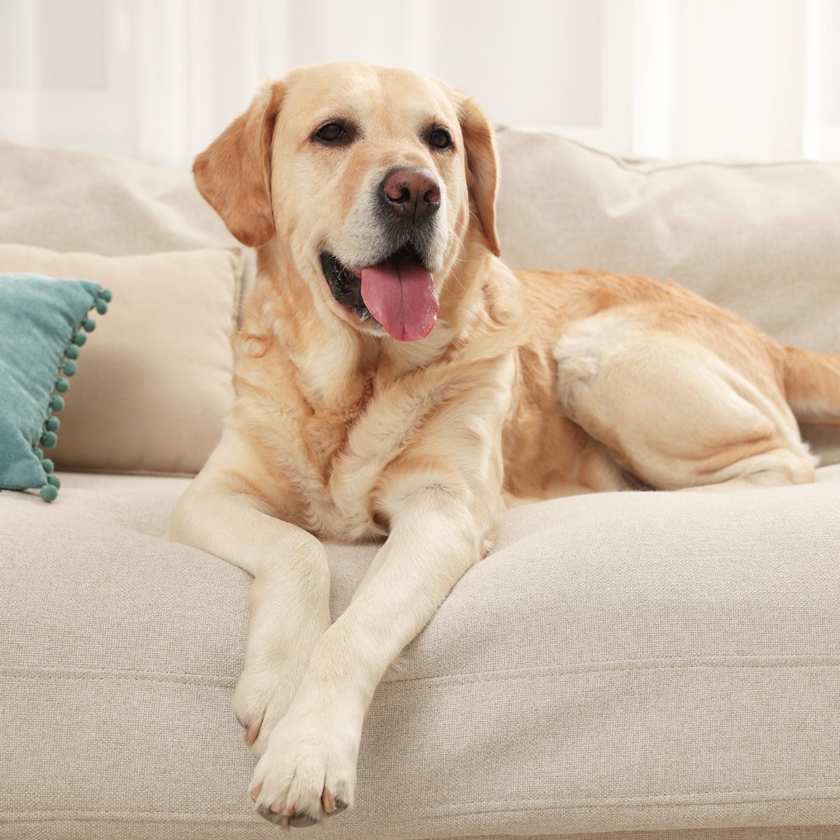 Things To Do When Planning To Sell Your Home Gettyimages 1806292113