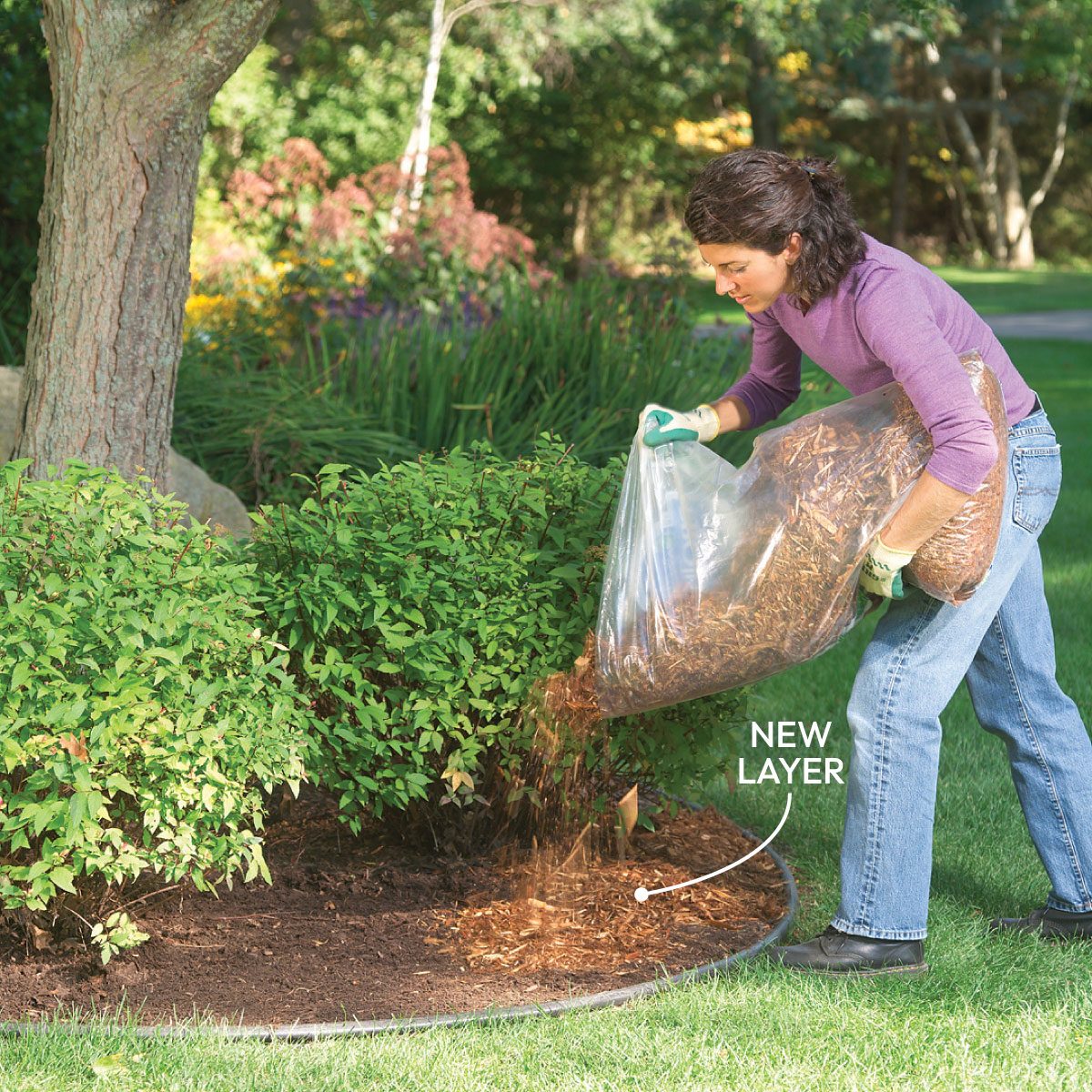 Tips For A Weed Free Yard