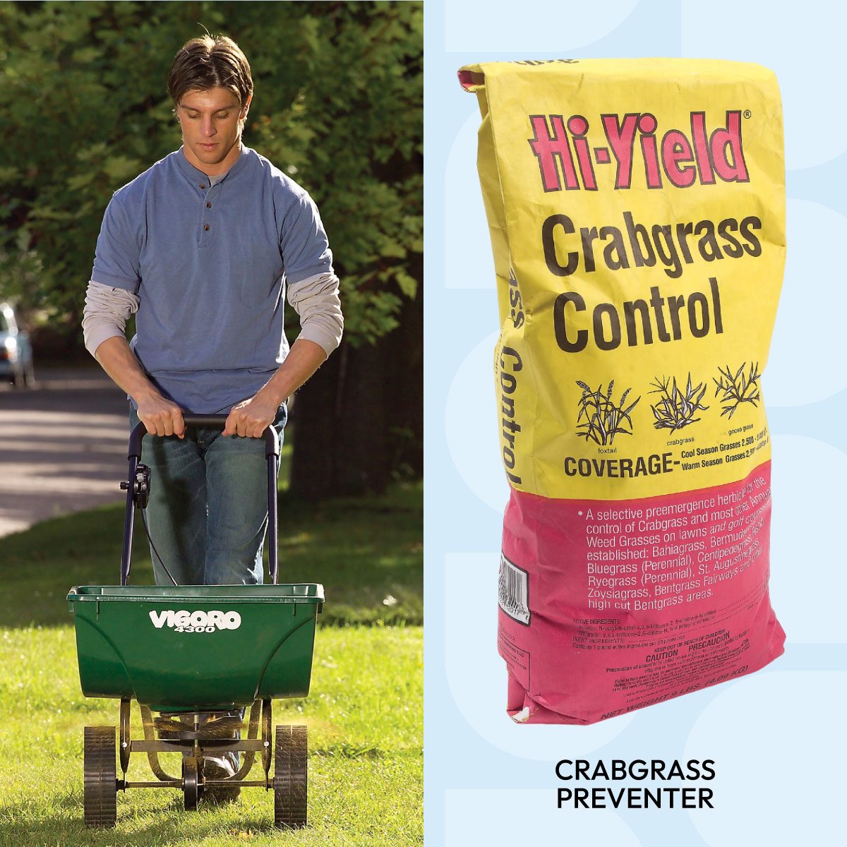 Tips For A Weed Free Yard