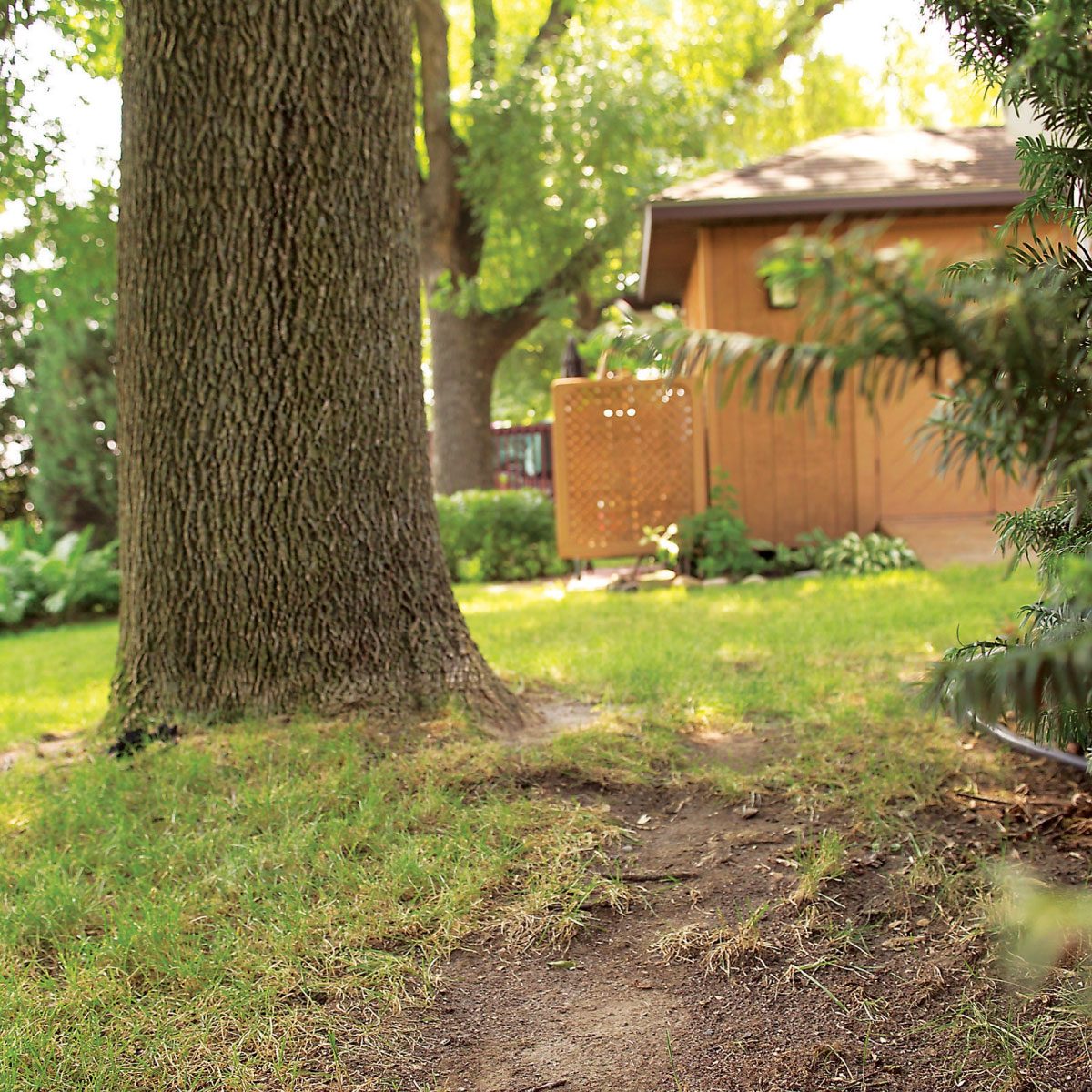 Tips For A Weed Free Yard