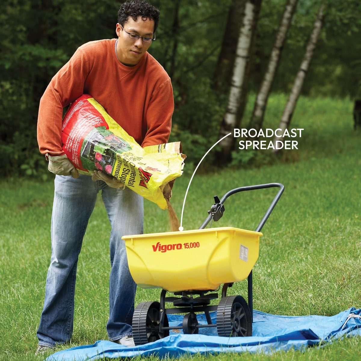 Tips For A Weed Free Yard