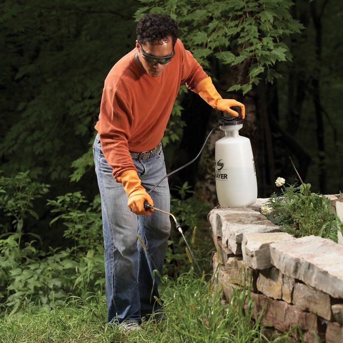 Tips For A Weed Free Yard