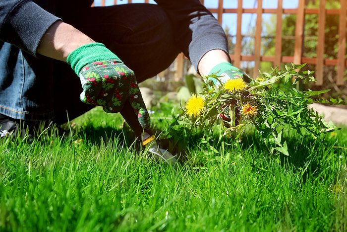 Turf Pros Explain How To Make Your Yard The Envy Of The Block Gettyimages 1388104033