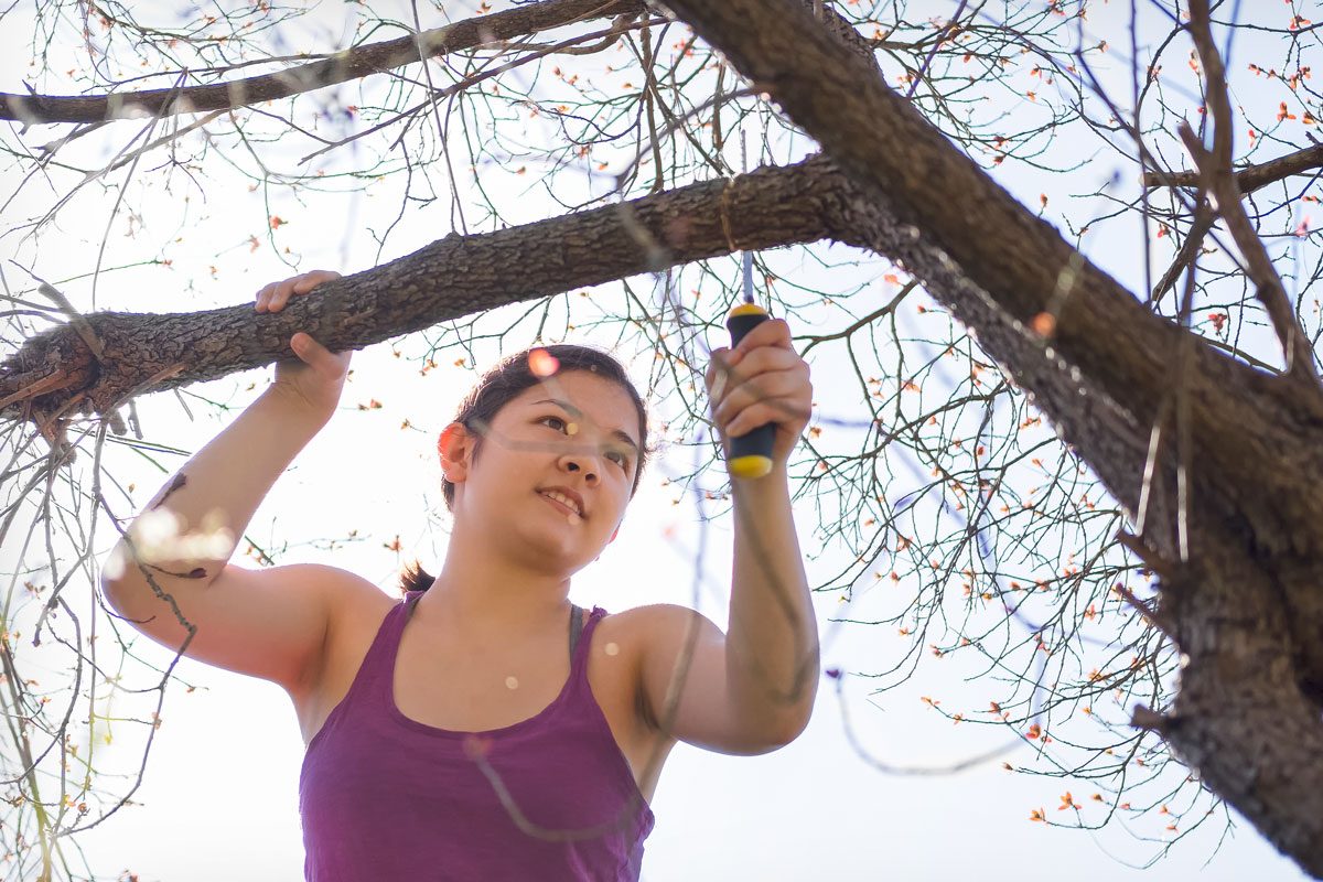 Young Woman Pruning Tree With Hand Saw Gettyimages 915189408