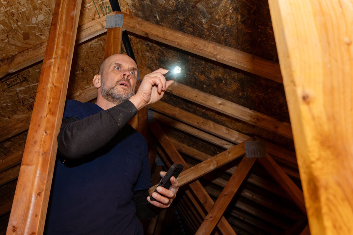 Inspecting Condition Of Home Attic