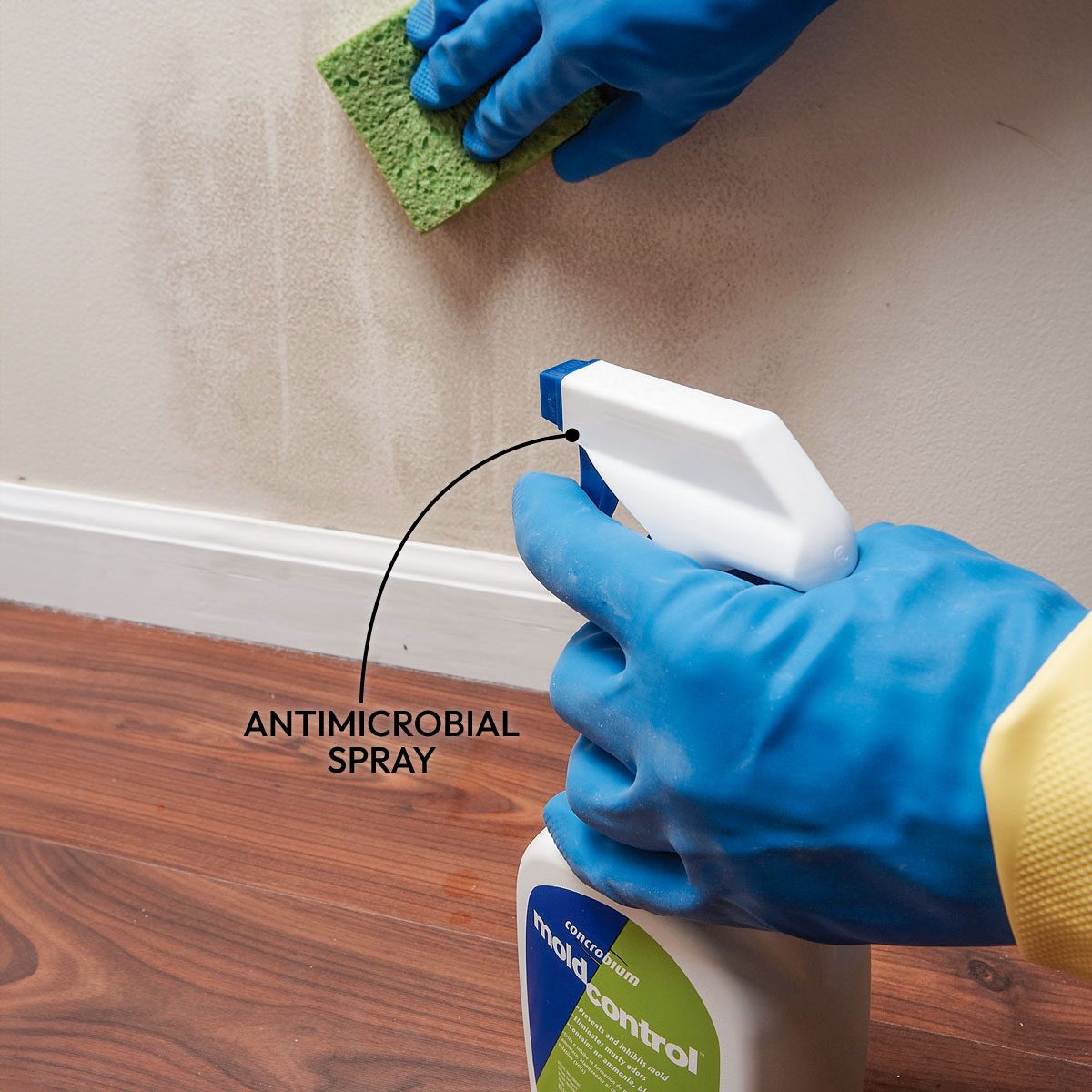 10 Tips For Removing Mold And Mildew 
