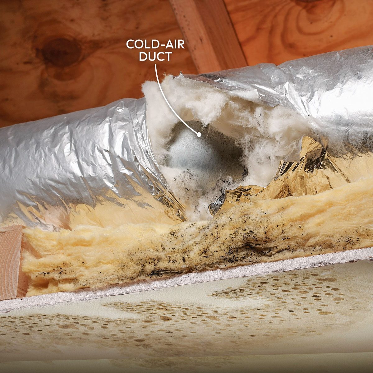 10 Tips For Removing Mold And Mildew 