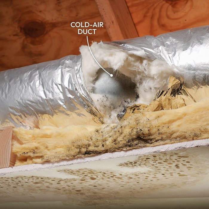 10 Tips For Removing Mold And Mildew