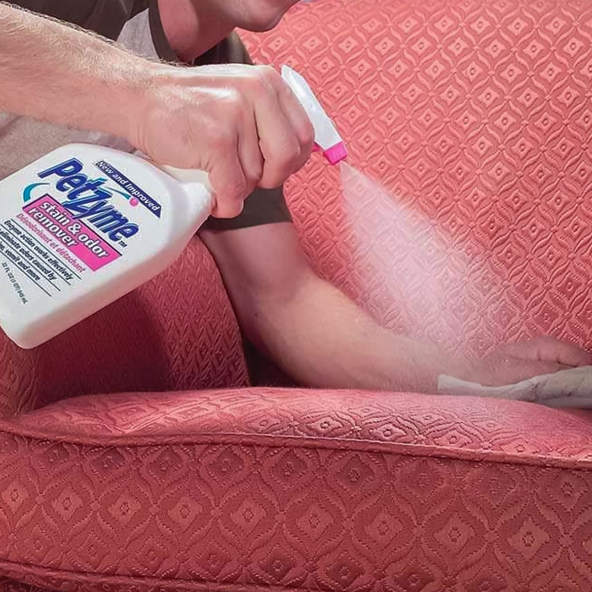 Enzymes Eliminate Pet Stains And Odors