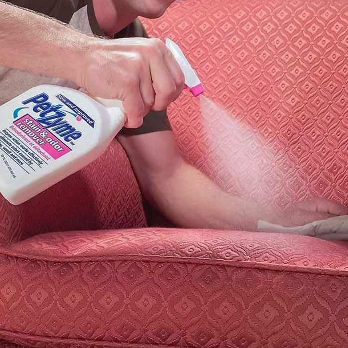 Enzymes Eliminate Pet Stains And Odors