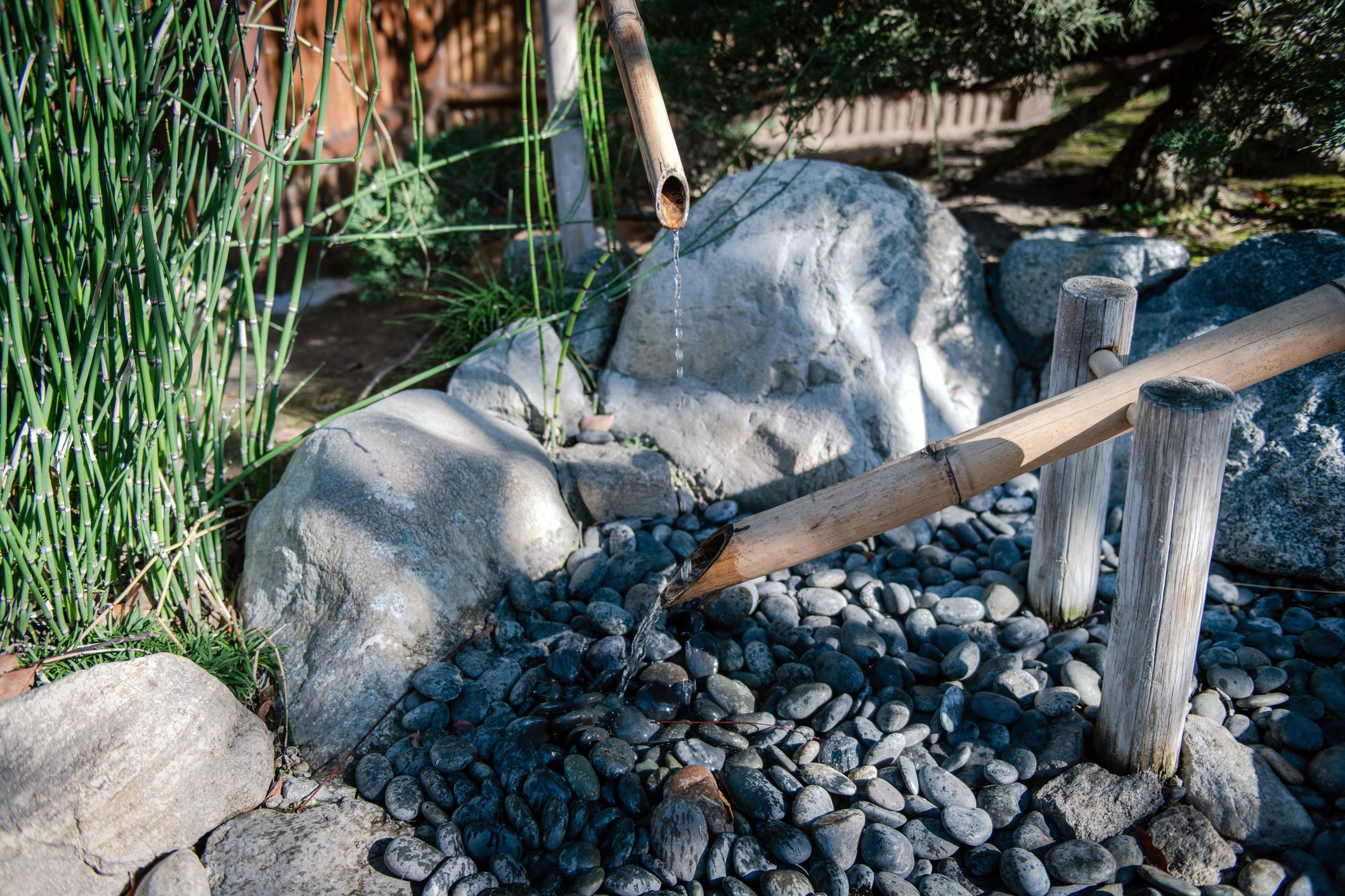 Shishi-odoshi in Japanese Friendship Garden