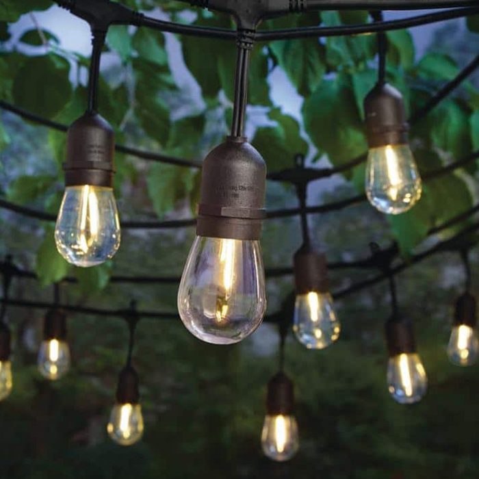 Hampton Bay Edison String Lights