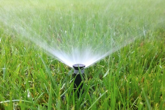 irrigation sprinkler in garden