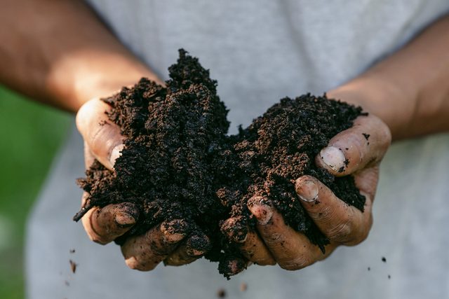 person holding black soil in hands