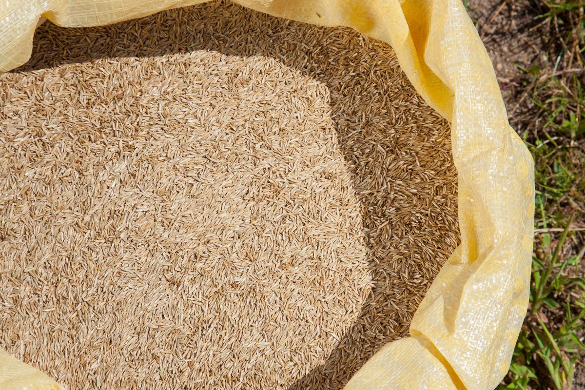 sack of grass seeds