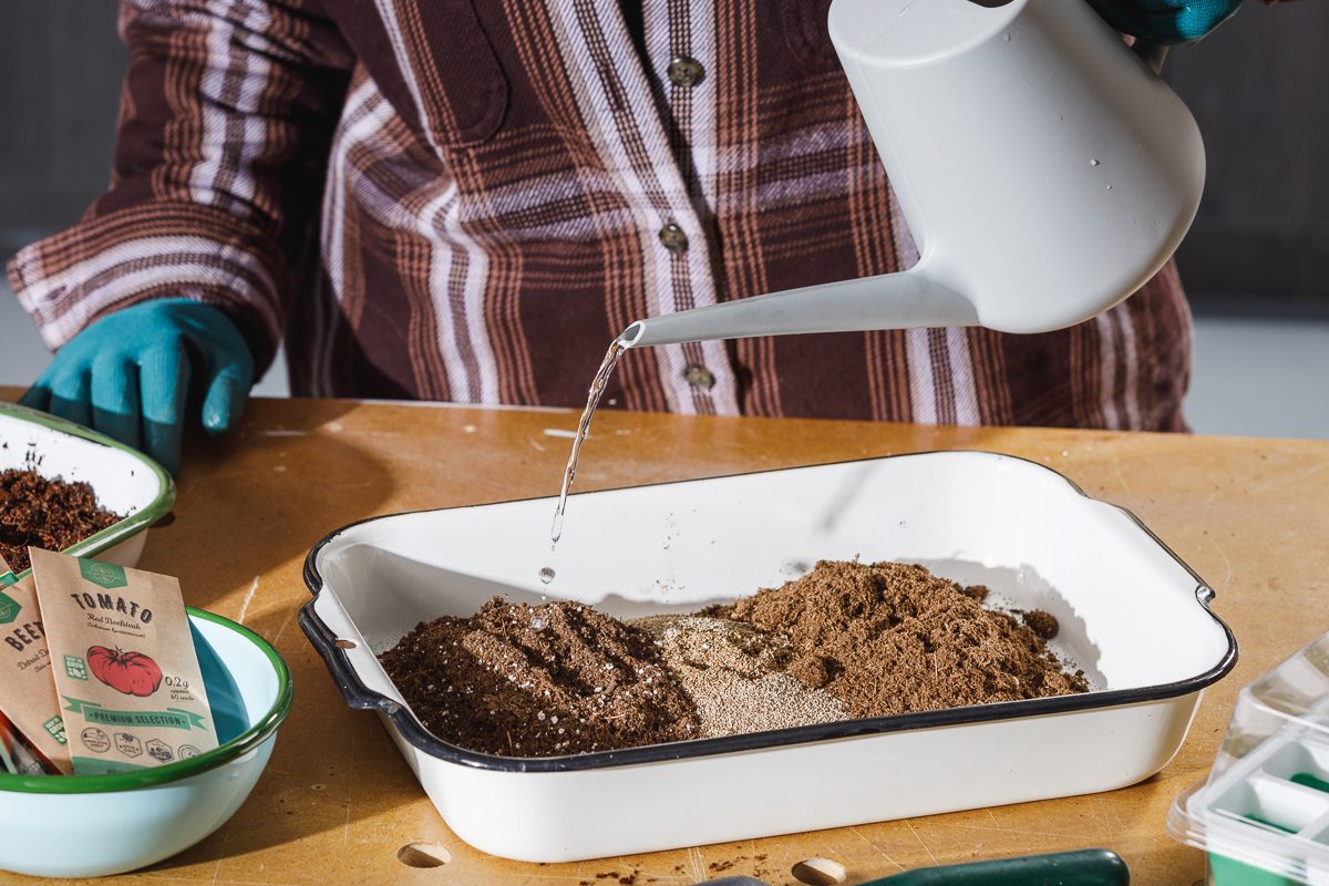 watering the soil mixture