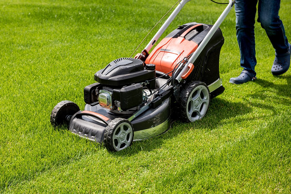 How To Supercharge Your Yard This Season Gettyimages 1253105003