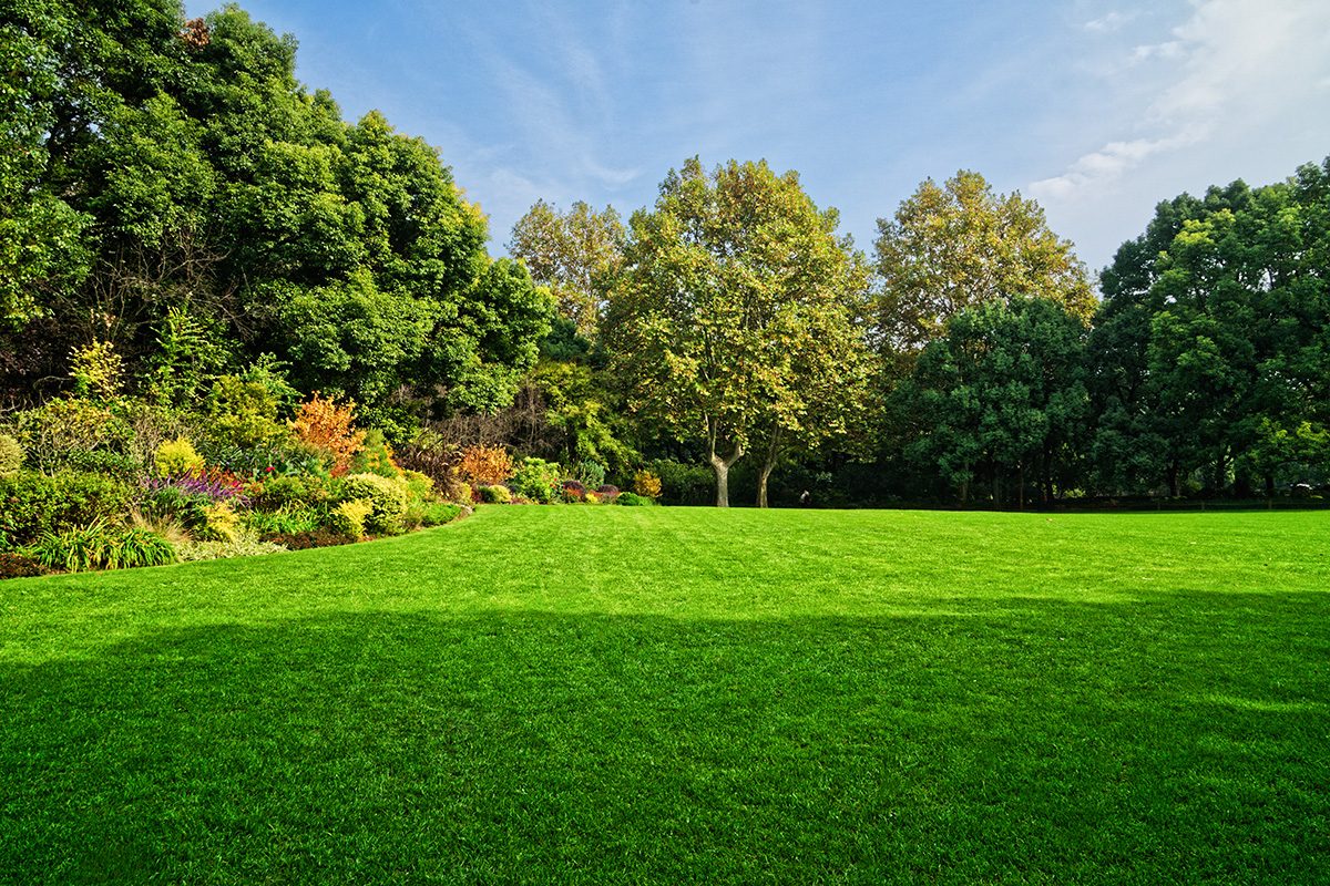 Lawn Care Playbook: How To Supercharge Your Yard This Season